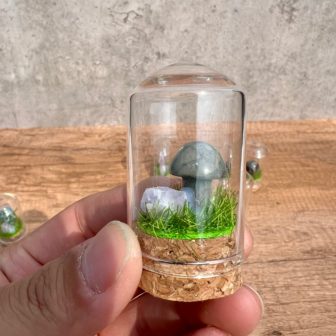 Kristallpilz-Exemplar