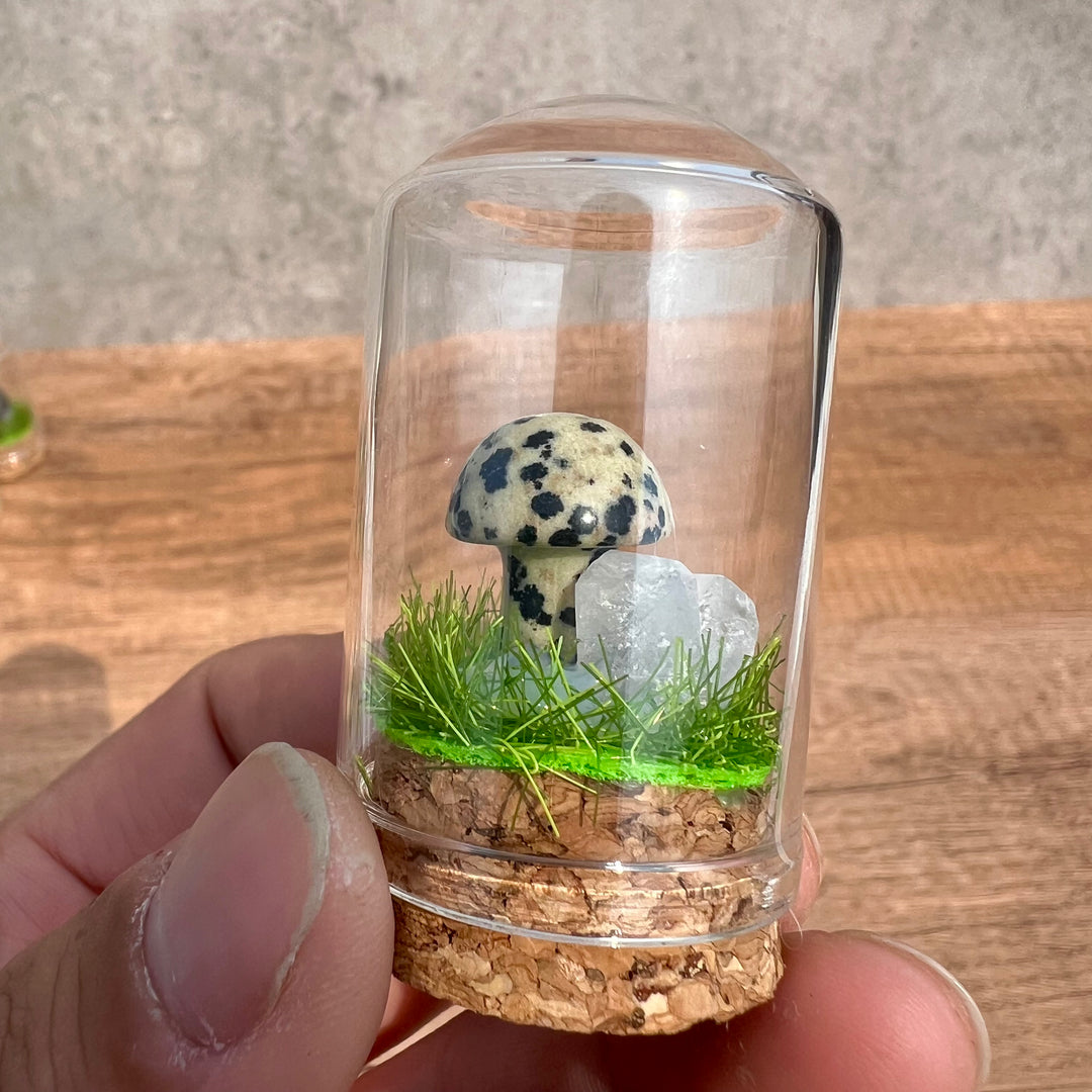 Kristallpilz-Exemplar