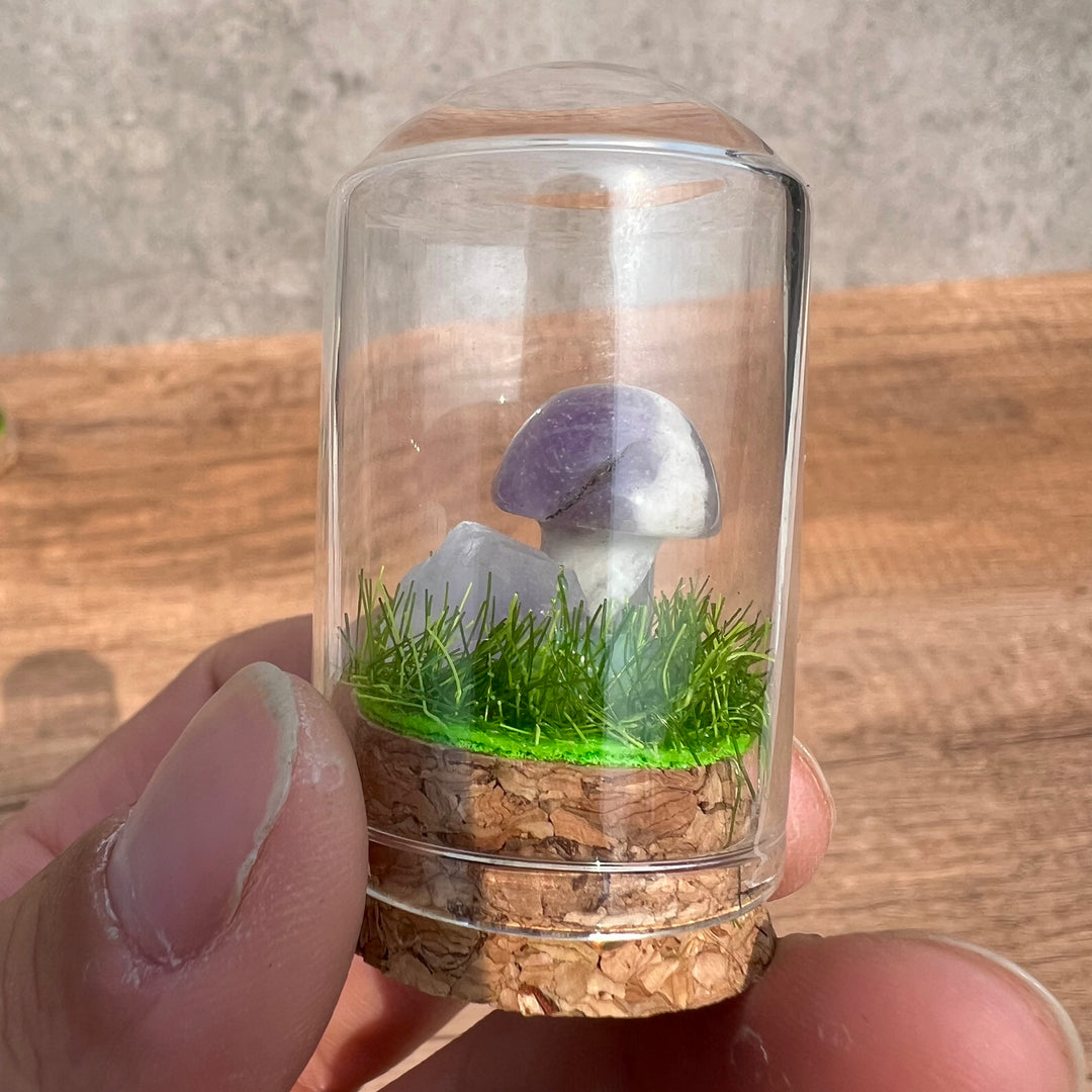 Kristallpilz-Exemplar