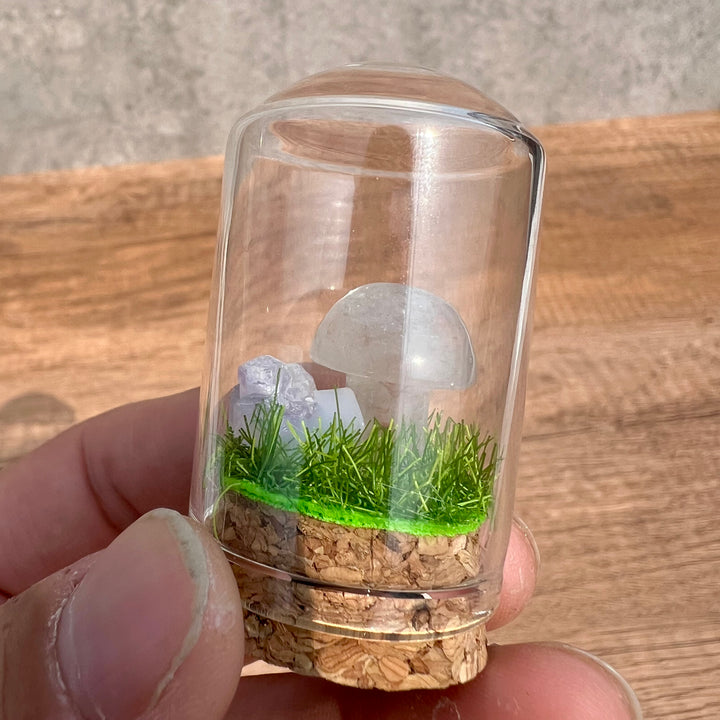 Kristallpilz-Exemplar