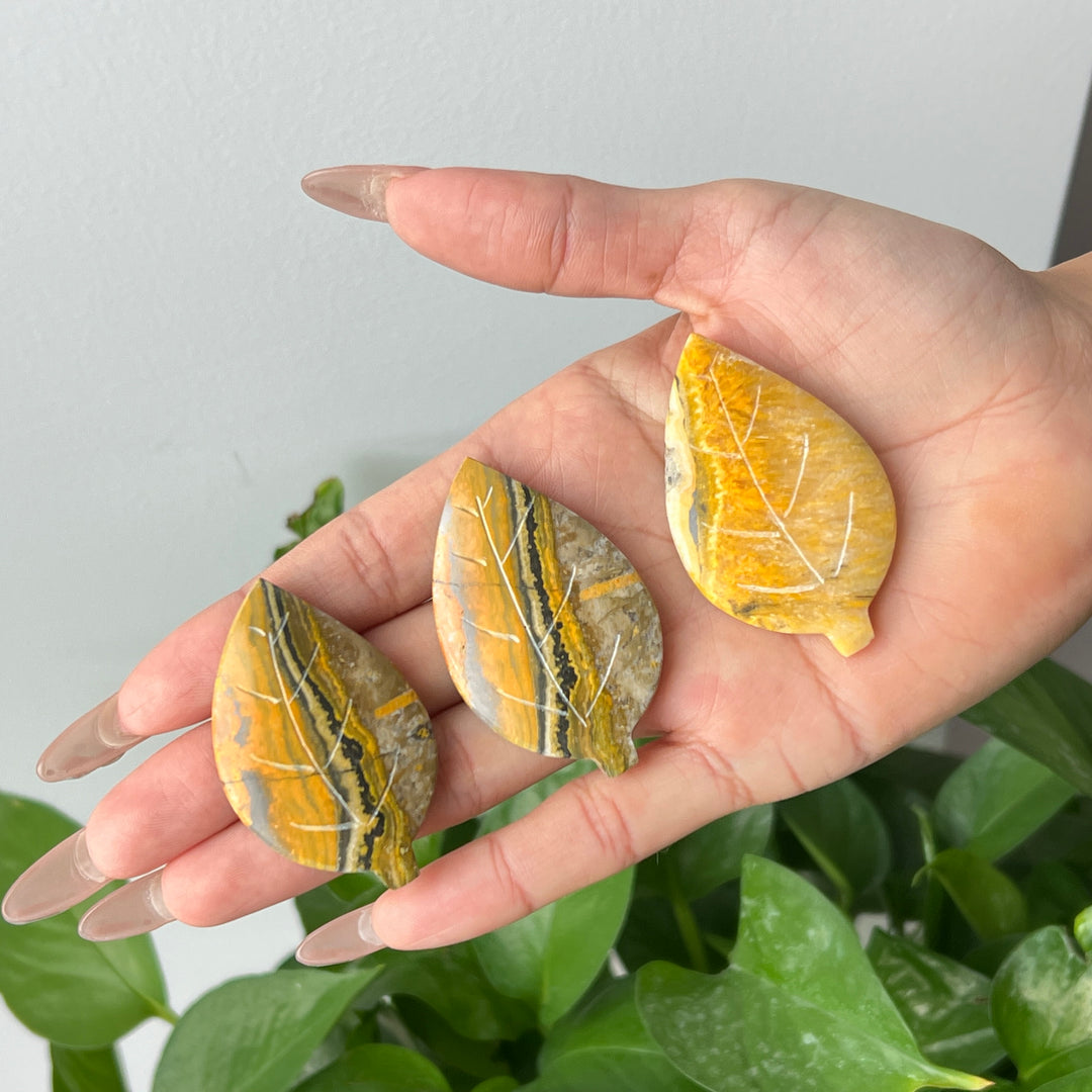 Bumble Bee Jasper Leaf