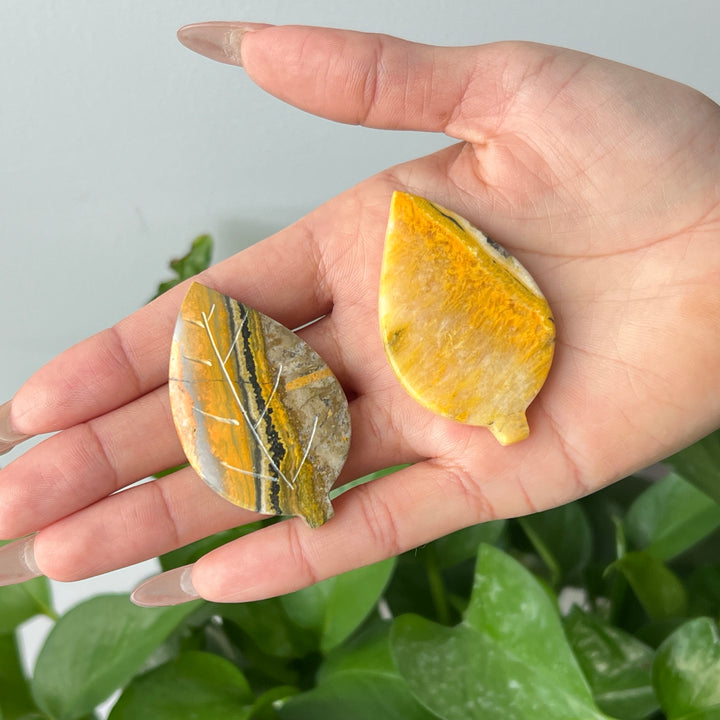 Bumble Bee Jasper Leaf