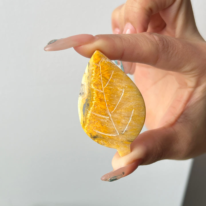 Bumble Bee Jasper Leaf
