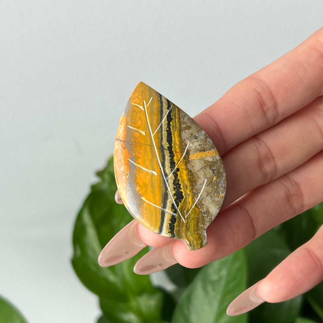 Bumble Bee Jasper Leaf