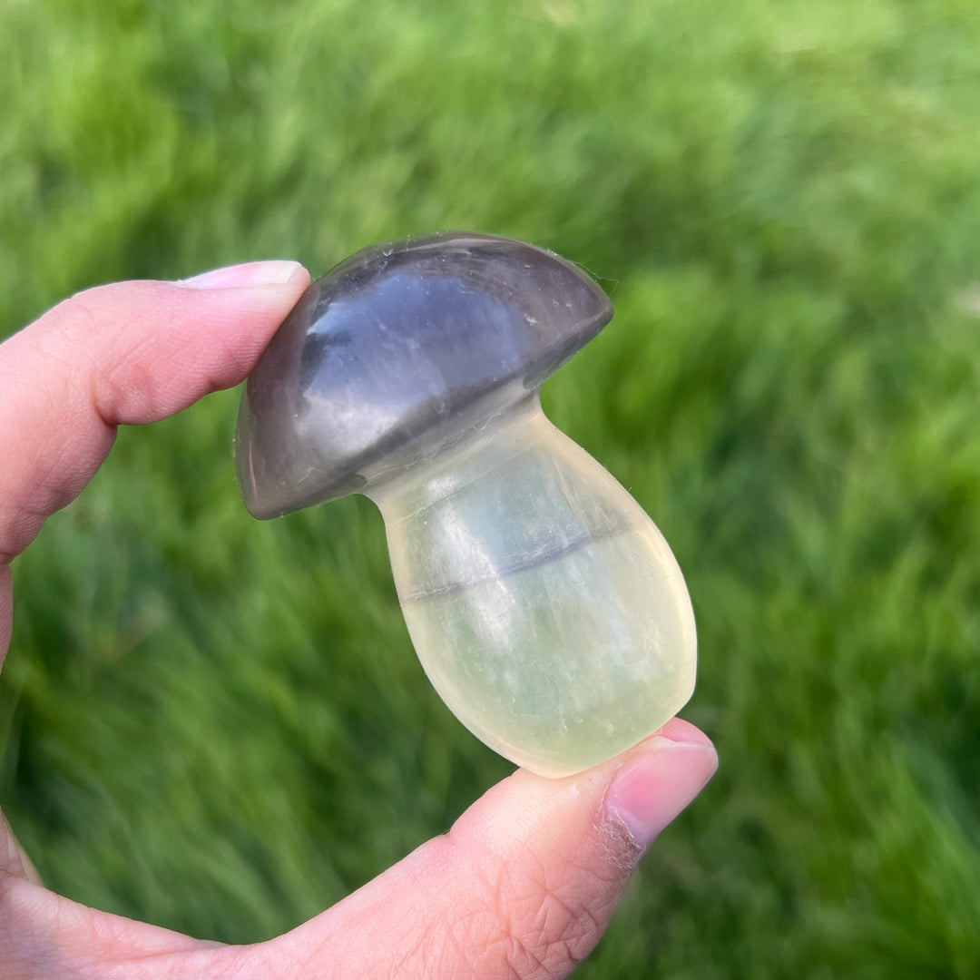 Natural Caramel Mica With Fluorite Mushroom