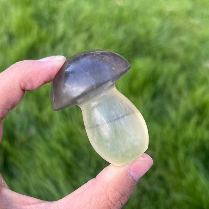 Natural Caramel Mica With Fluorite Mushroom