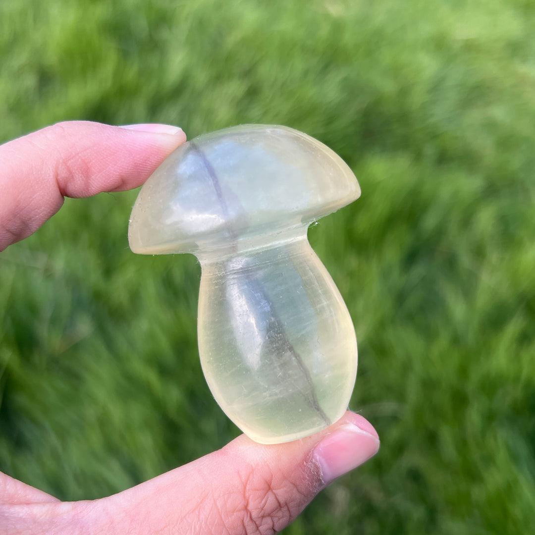 Natural Caramel Mica With Fluorite Mushroom