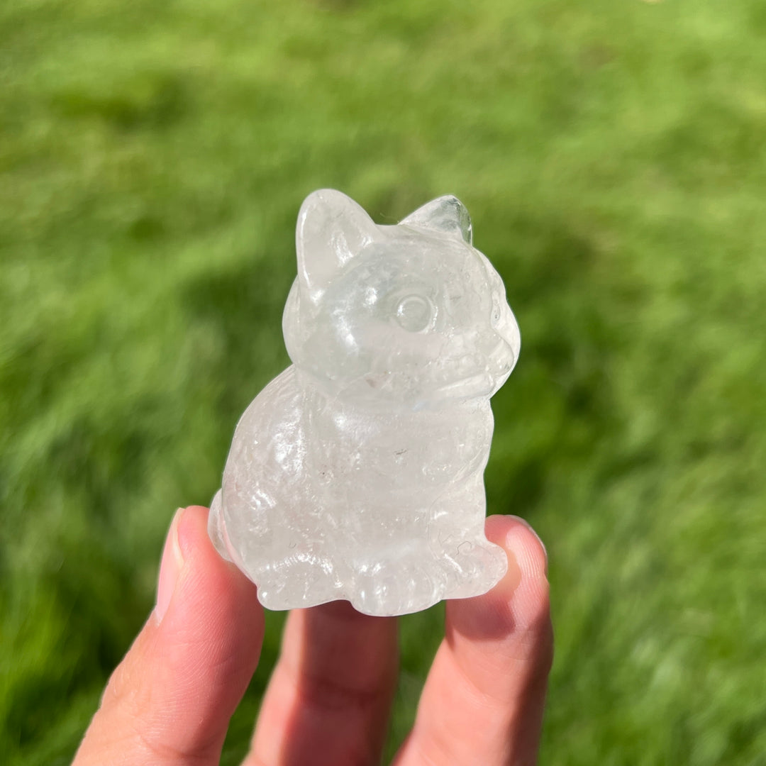 Natural Clear Quartz Cat