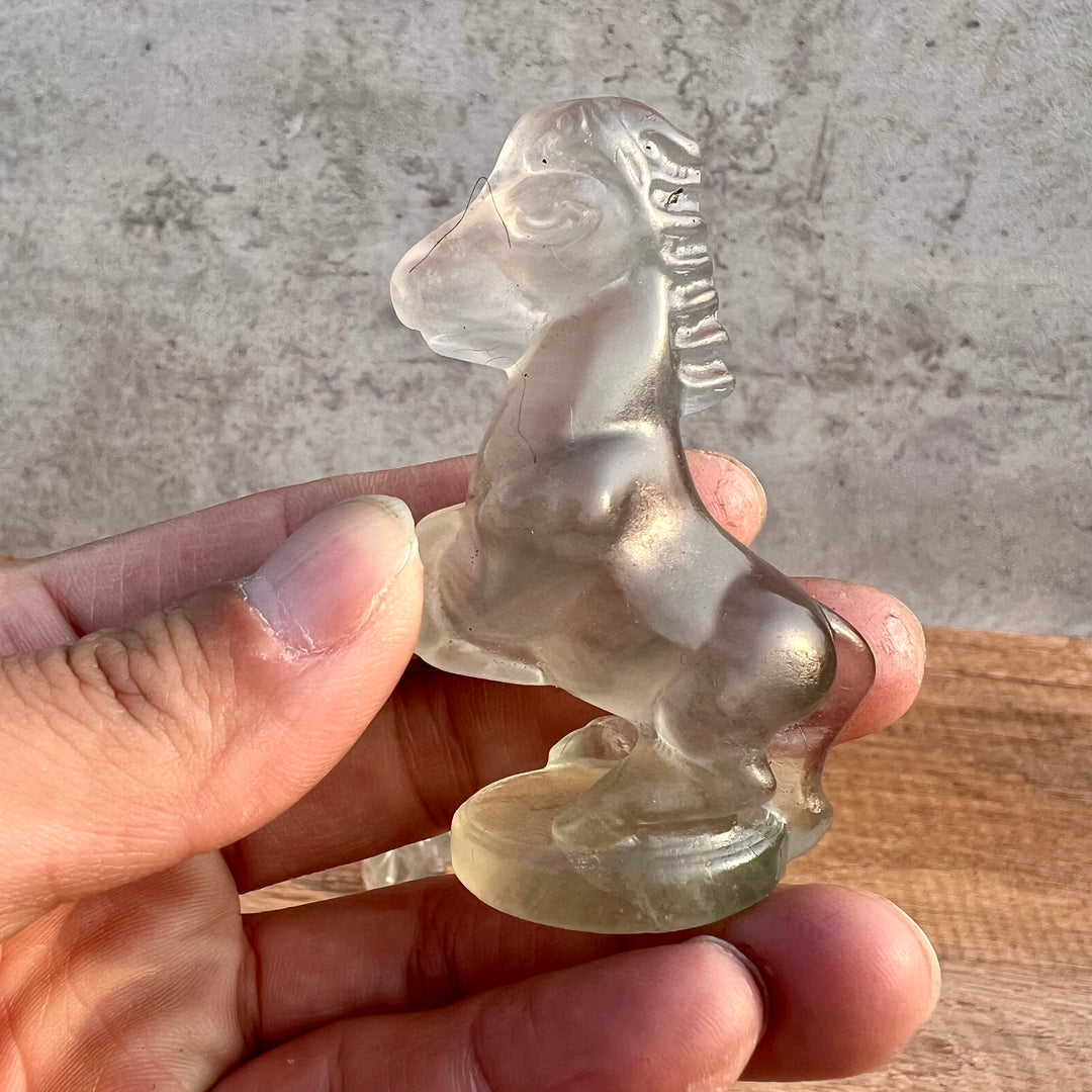 Funny Fluorite Horse Carving