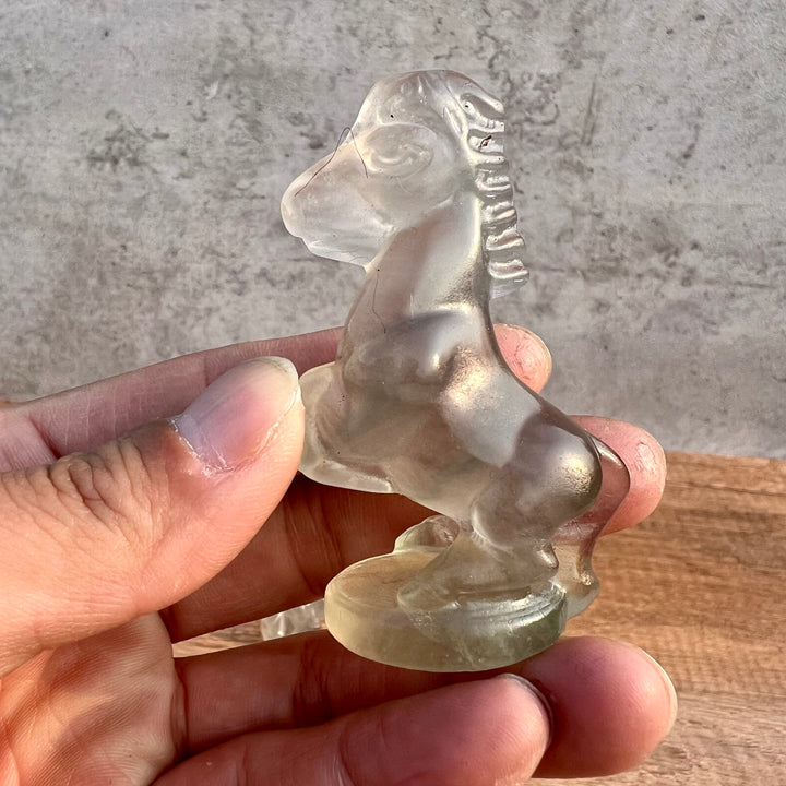 Funny Fluorite Horse Carving