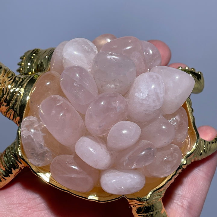 Larme d'agate mousse