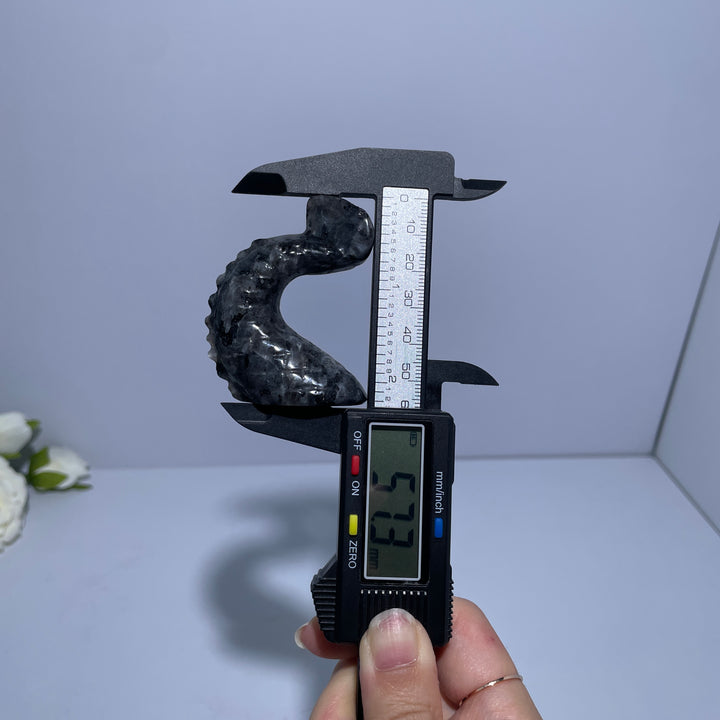 Larvikite Trident Dragon