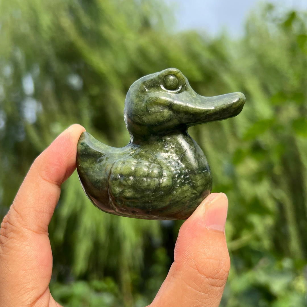 Serpentine Crocodile Duck