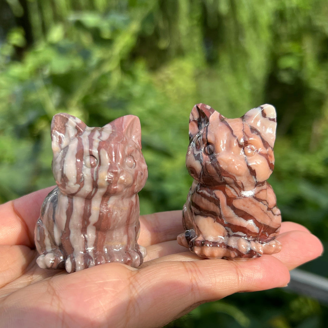 Chocolate Calcite Cat