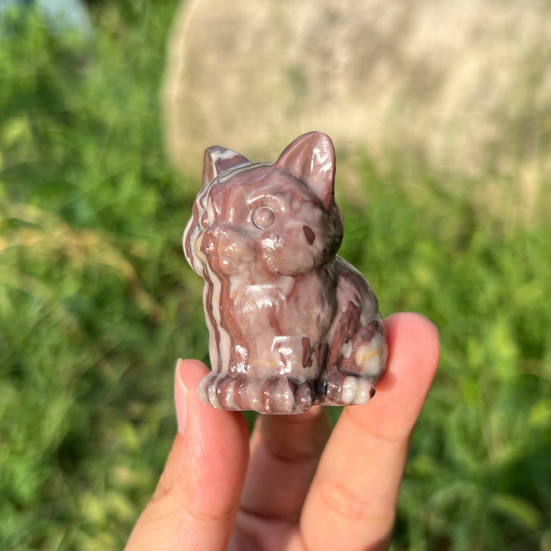 Chocolate Calcite Cat