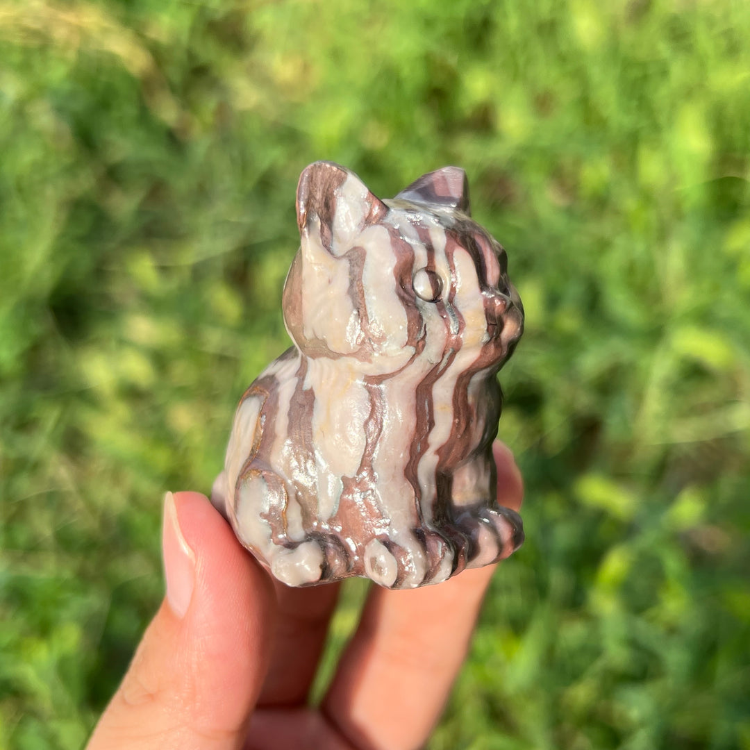 Chocolate Calcite Cat