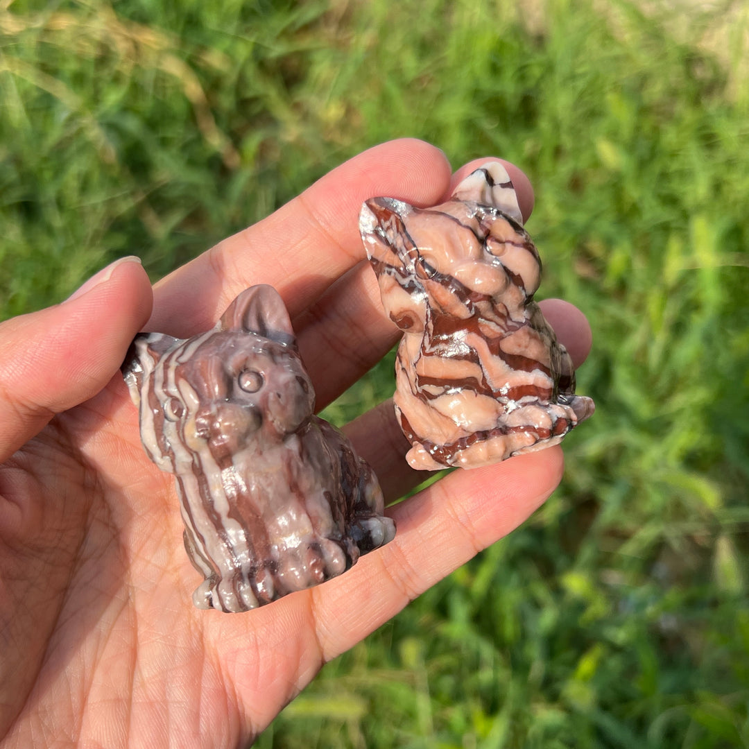 Chocolate Calcite Cat