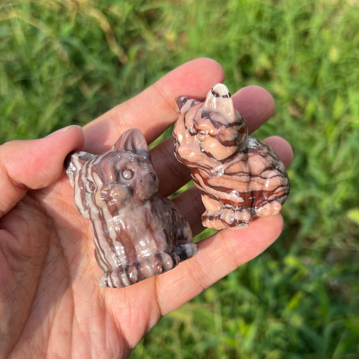 Chocolate Calcite Cat