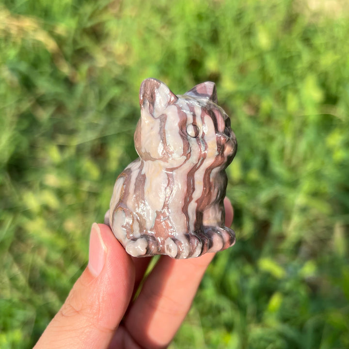 Chocolate Calcite Cat