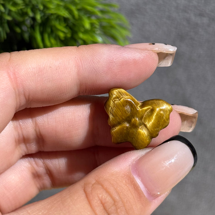 Mini Tiger Eye Butterfly
