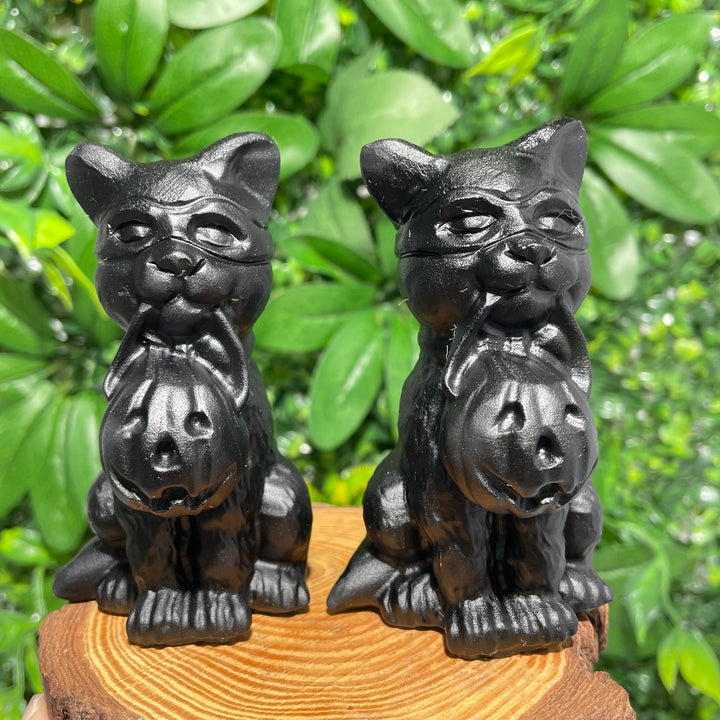 The Cat Holding The Lantern