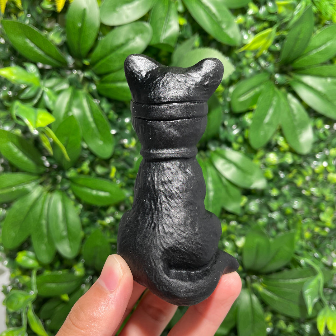 The Cat Holding The Lantern