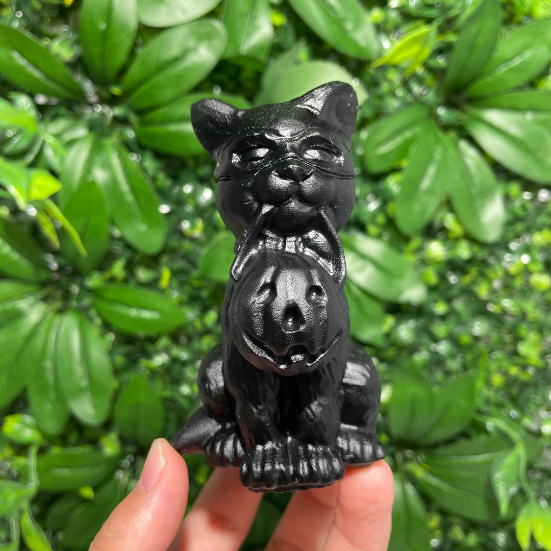 The Cat Holding The Lantern