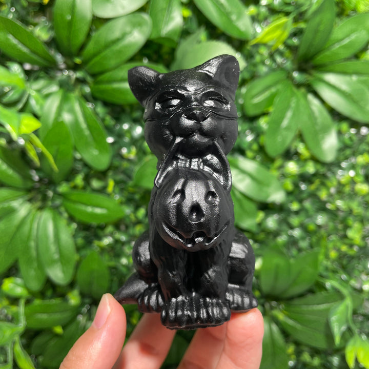 The Cat Holding The Lantern