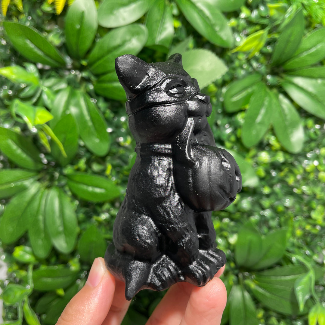 The Cat Holding The Lantern