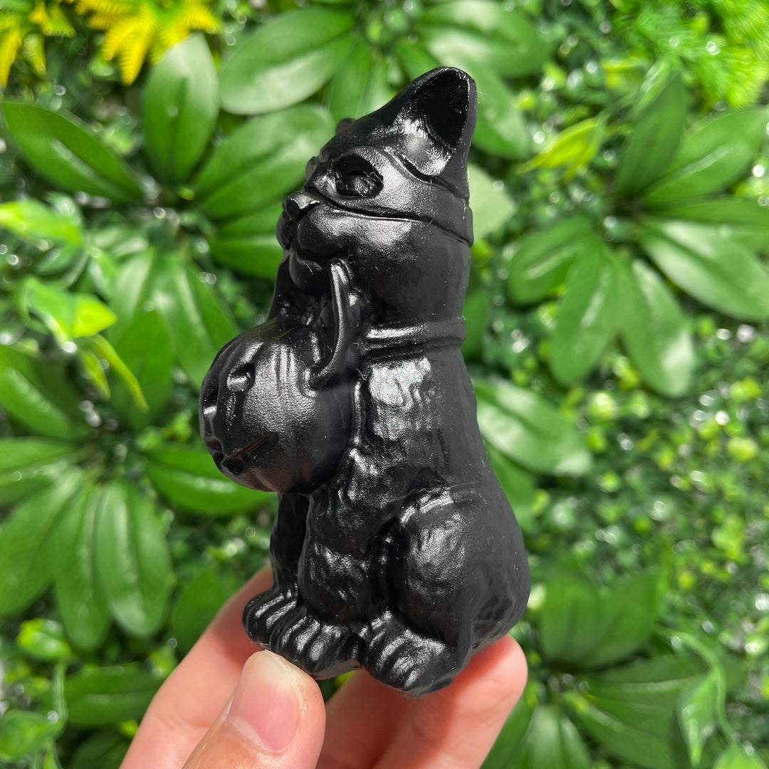 The Cat Holding The Lantern