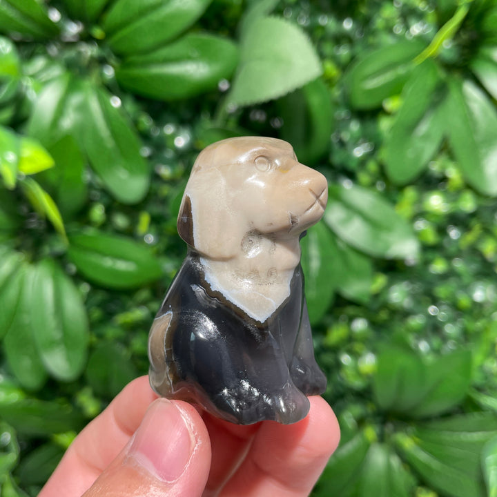 Volcanic Agate Dog