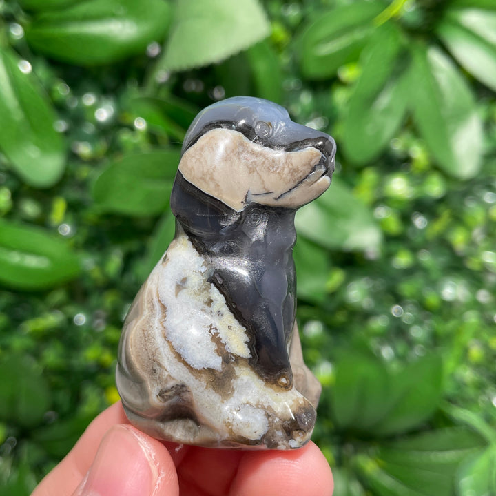 Volcanic Agate Dog