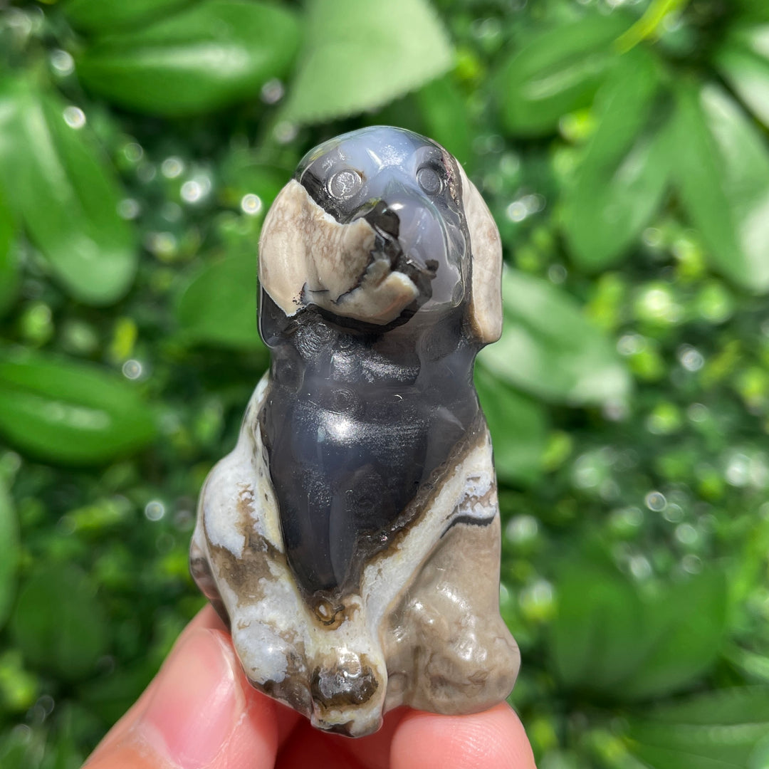 Volcanic Agate Dog