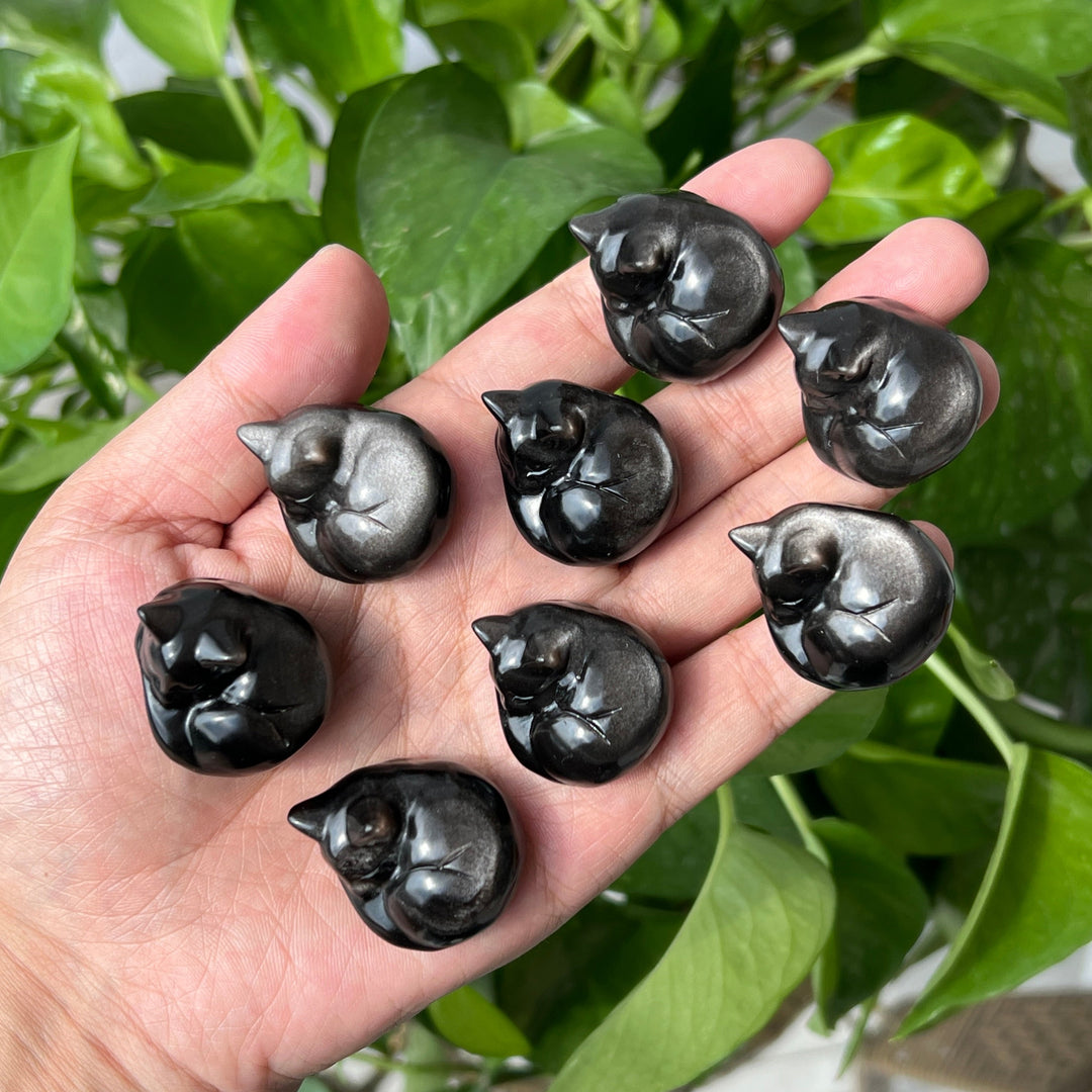 Silver Obsidian Sleeping Cat