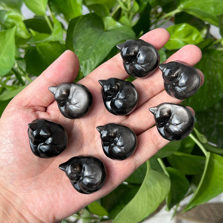 Silver Obsidian Sleeping Cat