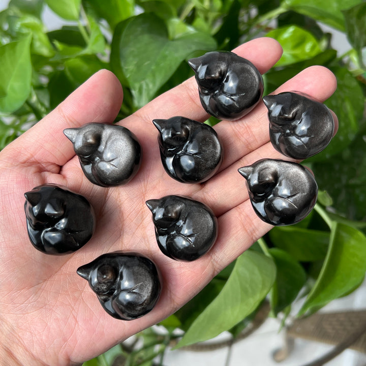 Silver Obsidian Sleeping Cat