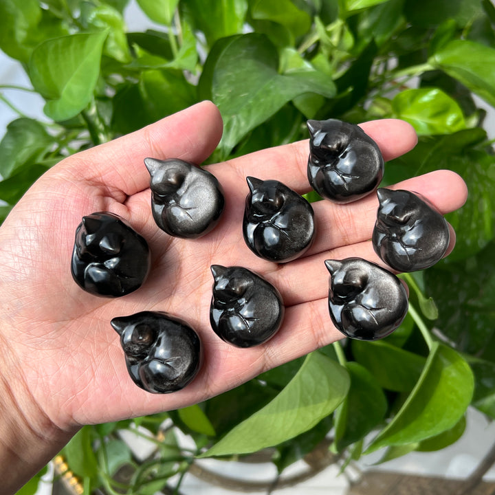 Silver Obsidian Sleeping Cat