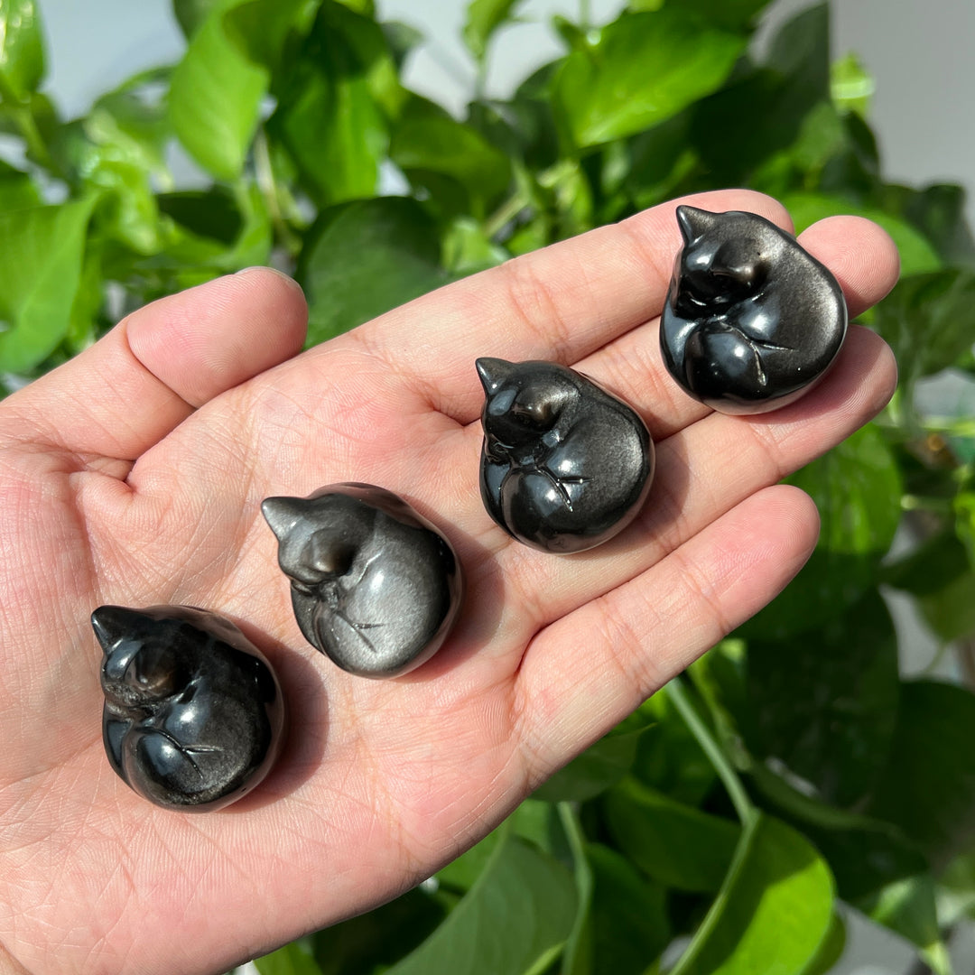 Silver Obsidian Sleeping Cat