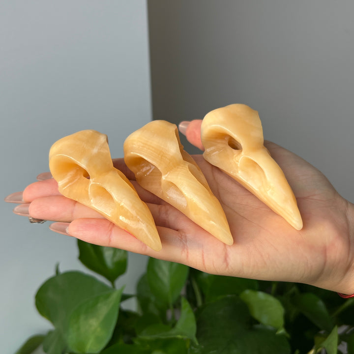 Yellow Calcite Crow Skull