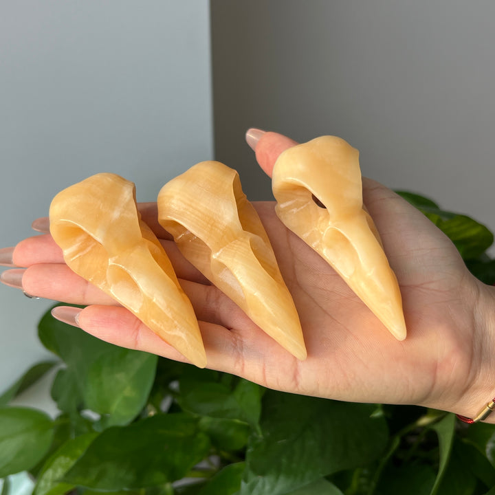 Yellow Calcite Crow Skull