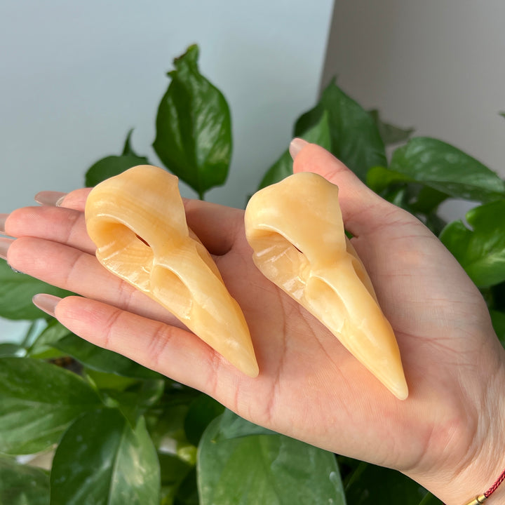 Yellow Calcite Crow Skull