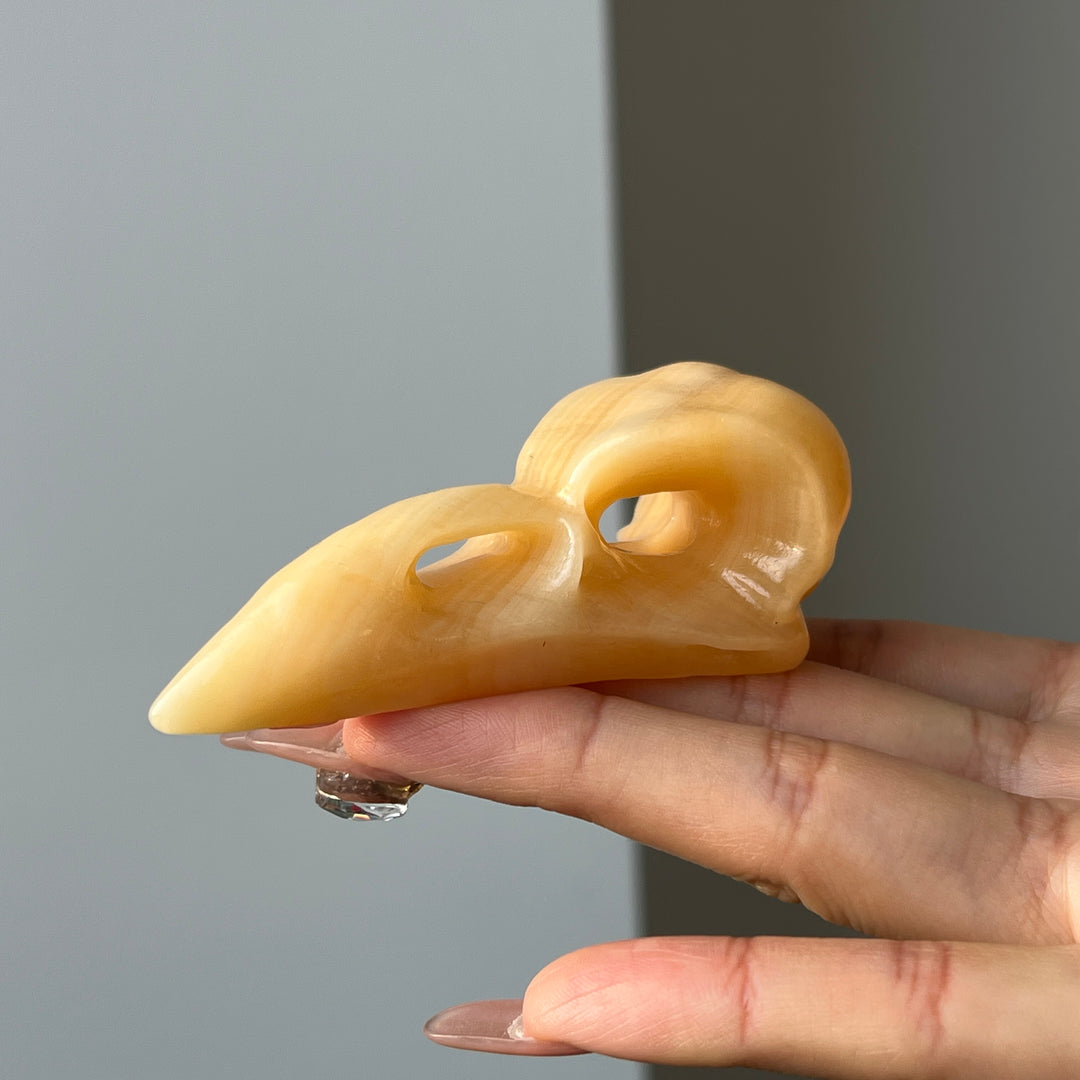 Yellow Calcite Crow Skull