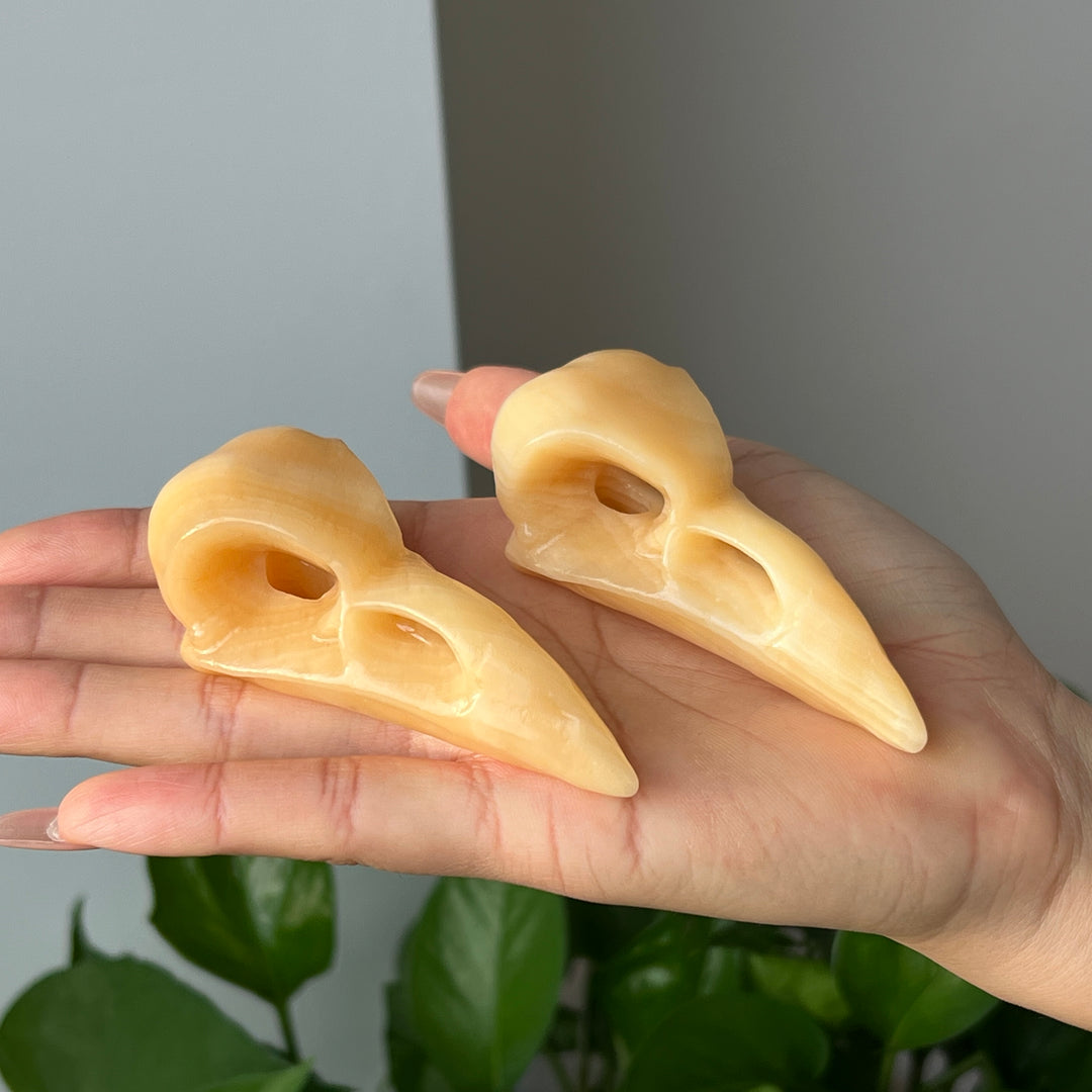 Yellow Calcite Crow Skull