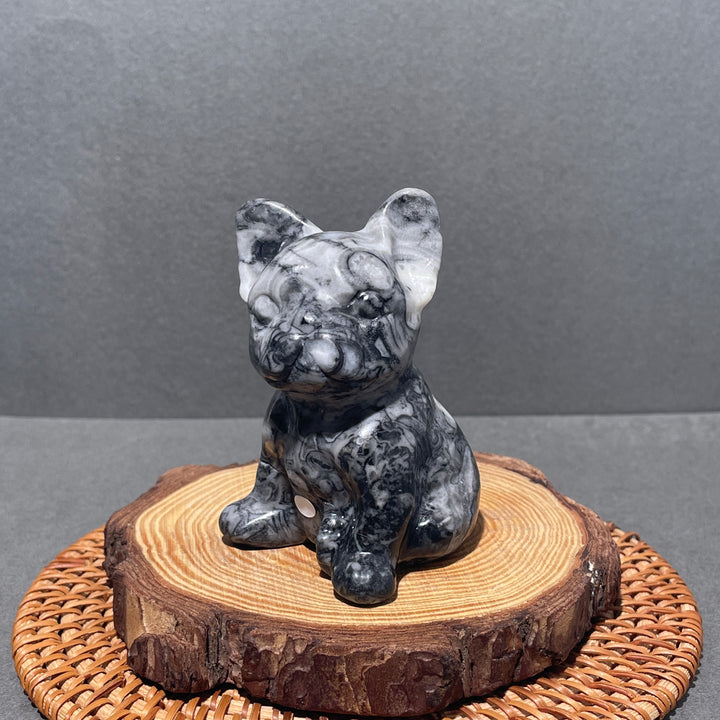 Ammonite Fossil Bulldog Carving