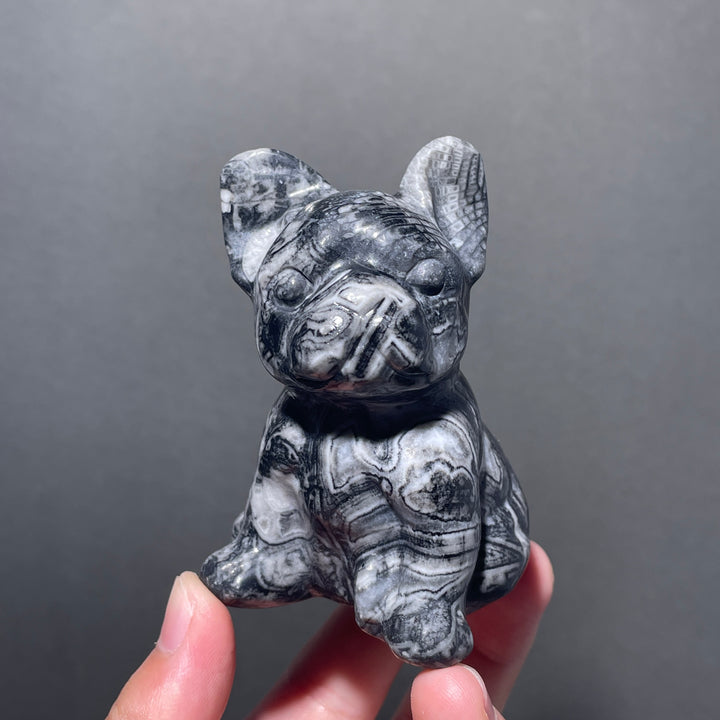 Ammonite Fossil Bulldog Carving