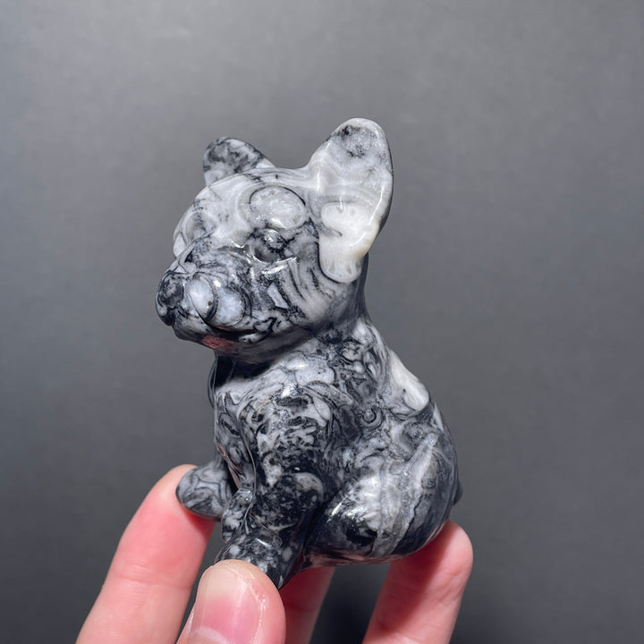 Ammonite Fossil Bulldog Carving