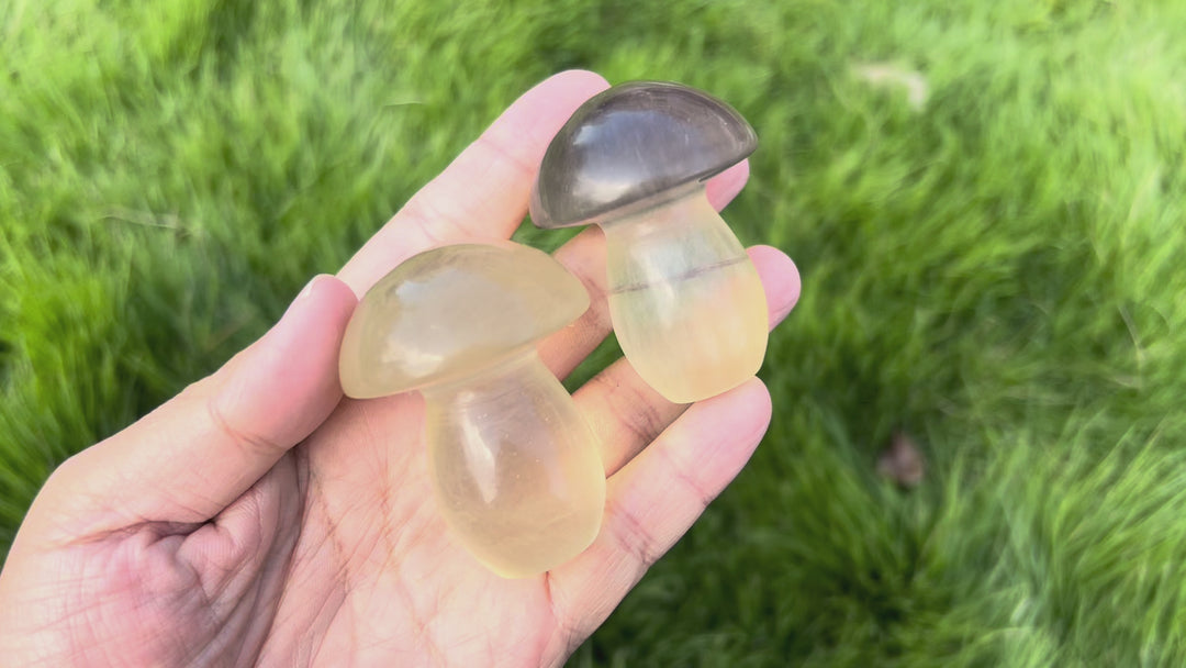 Natural Caramel Mica With Fluorite Mushroom