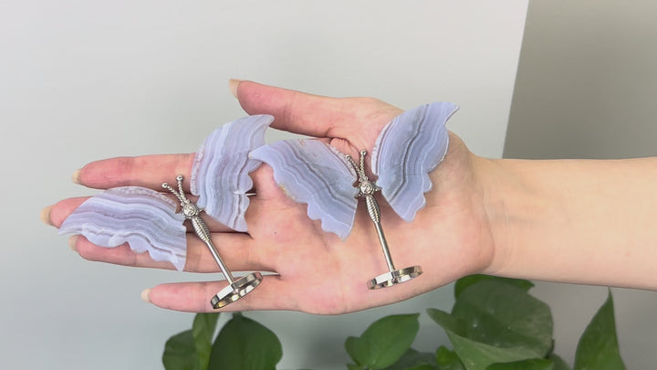 Blue Lace Agate Butterfly
