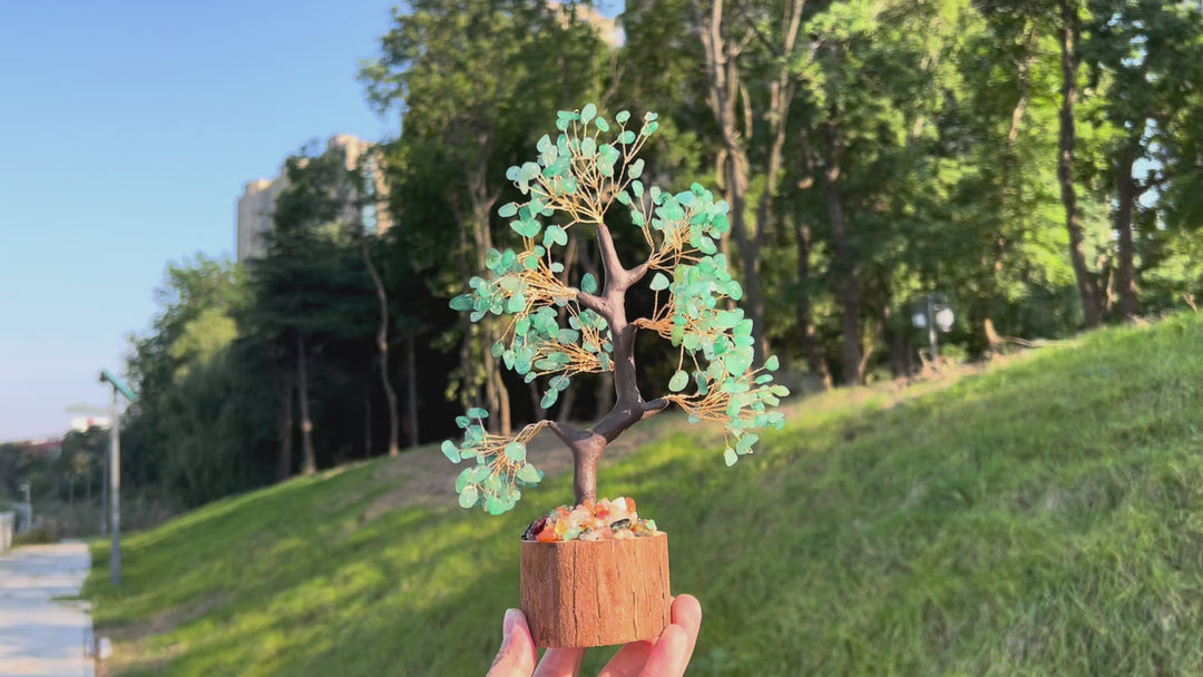 Crystal Chips Wood Pile Money Tree