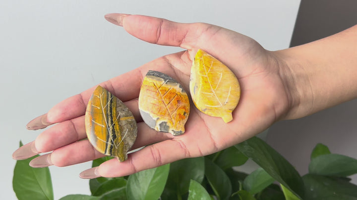 Bumble Bee Jasper Leaf